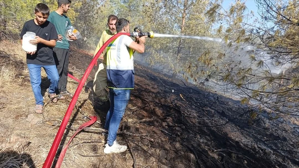 Gaziantep'te Orman Yangını Paniği: 5 Hektar Zarar Gördü