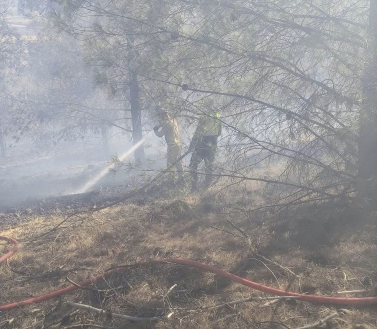 Gaziantep'te Orman Yangını Paniği: 5 Hektar Zarar Gördü