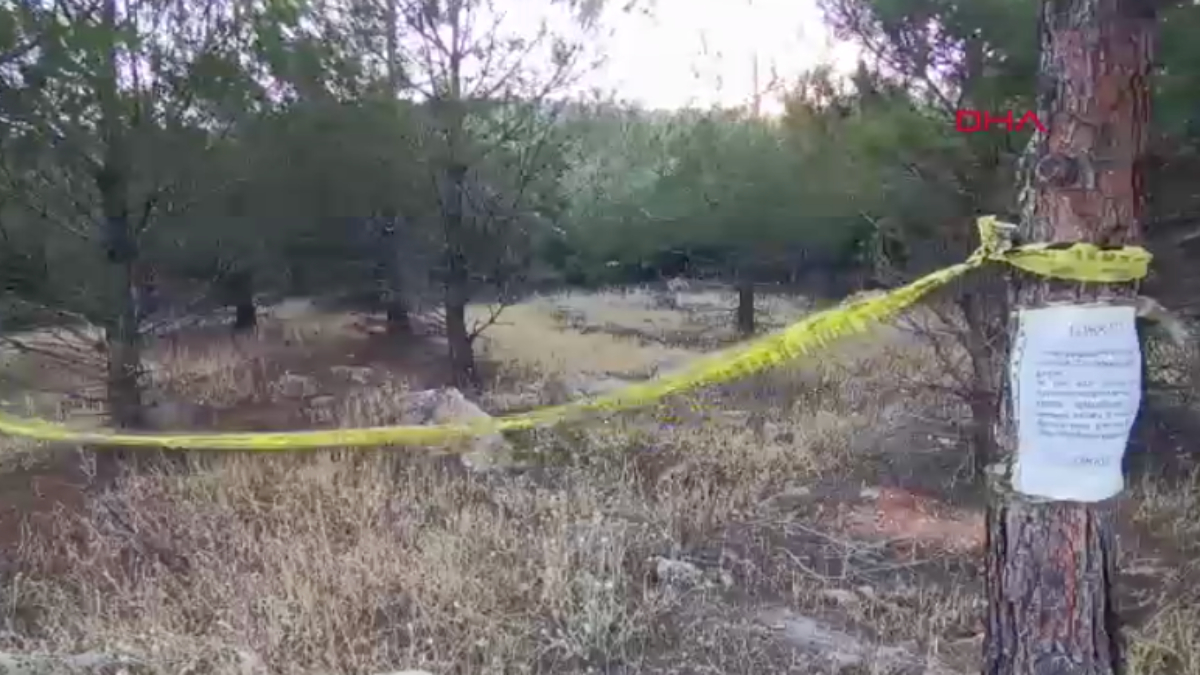 Gaziantep'te Orman Yangınları İçin Girişler Yasaklandı