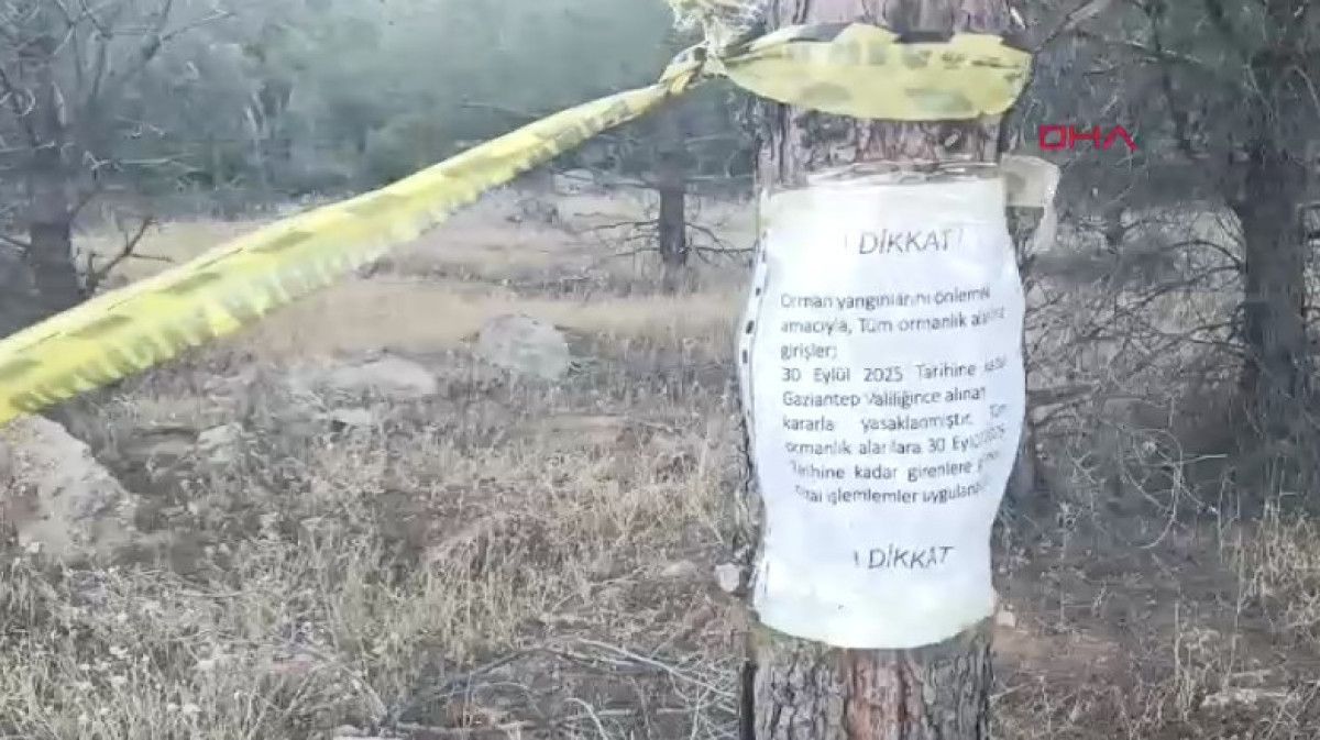 Gaziantep'te Orman Yangınları İçin Girişler Yasaklandı