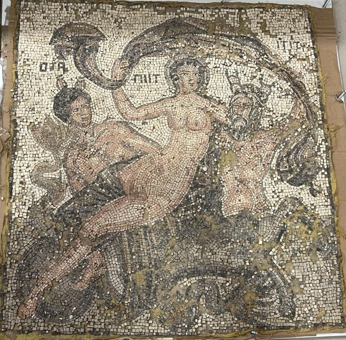 Gaziantep'te Tarihi Mozaik Eseri Yakalama Operasyonunda 3 Kişi Gözaltında