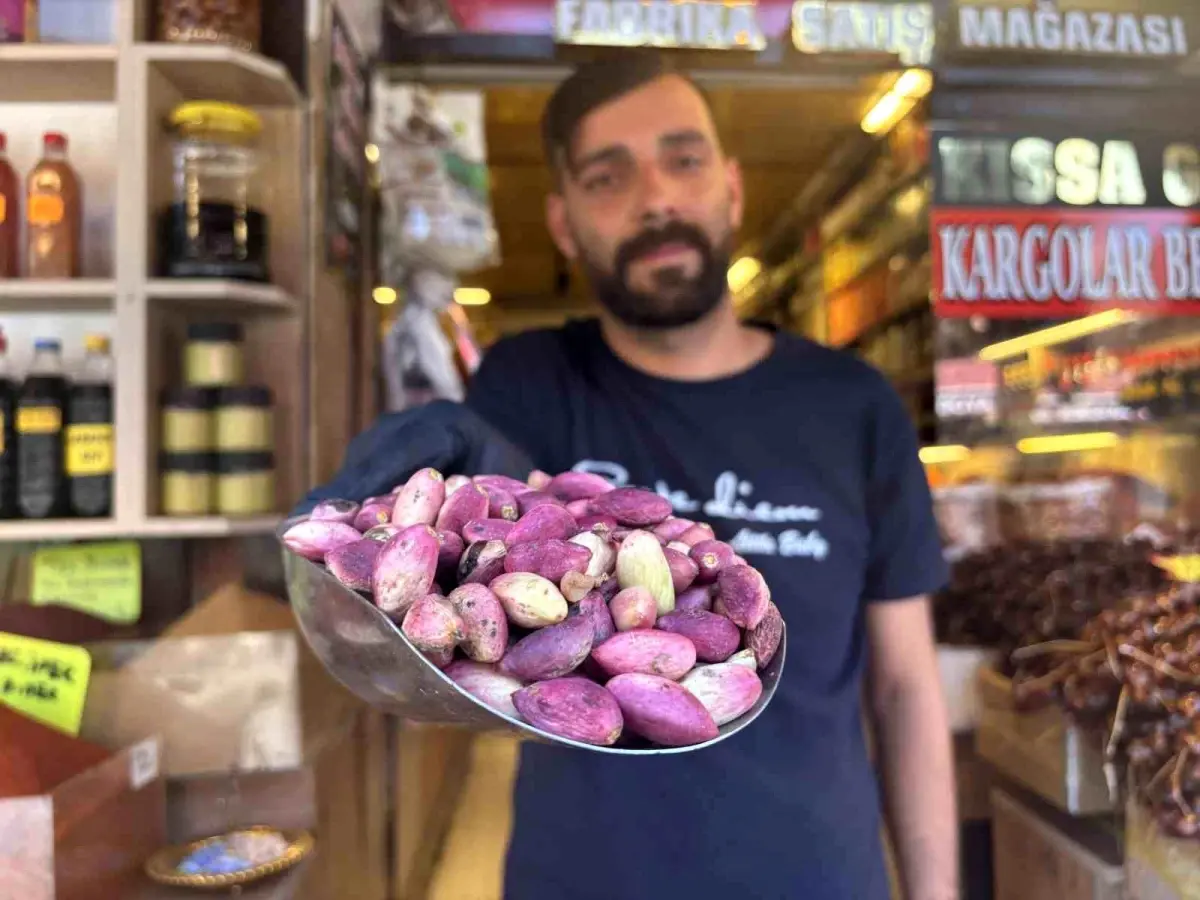 Gaziantep'te Taze Antep Fıstığı Fiyatları Artıyor