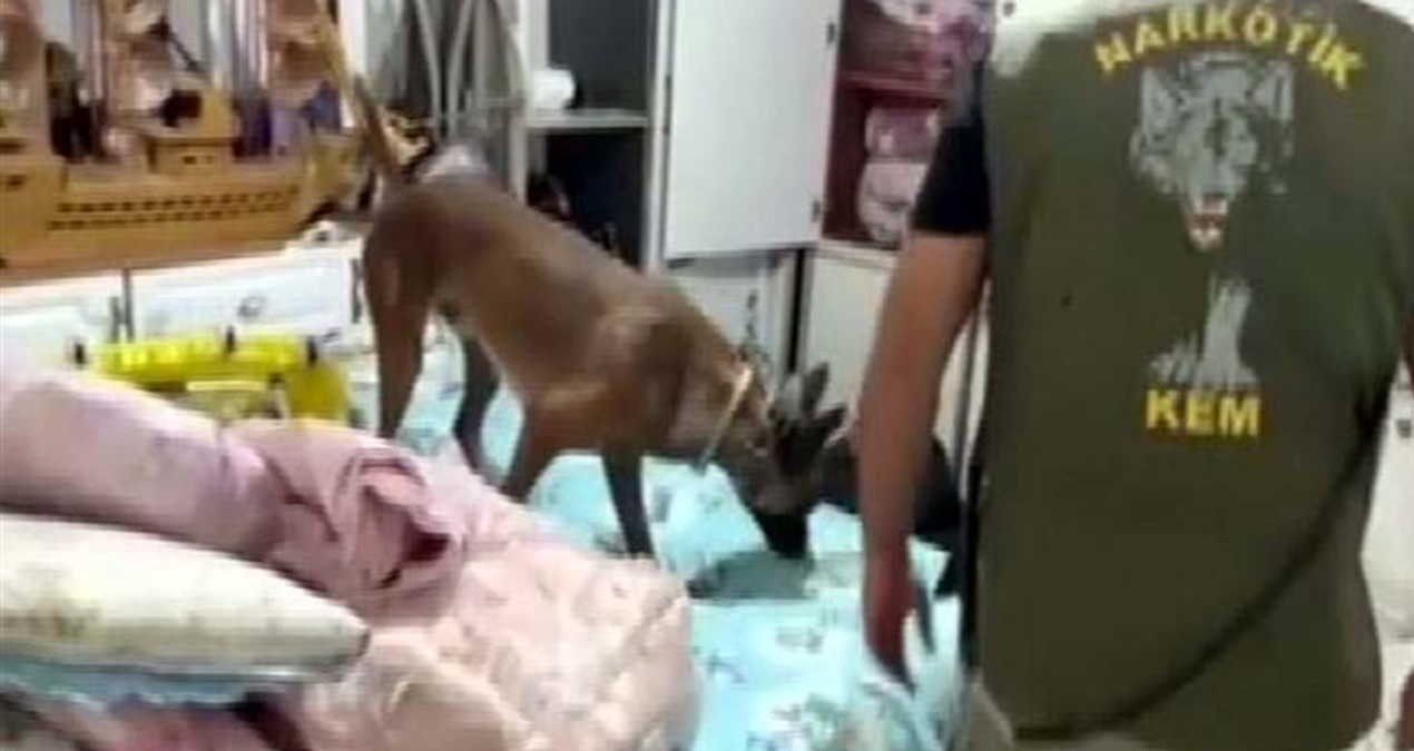 Gaziantep'te Uyuşturucu Operasyonu: 7 Kilo Skunk Ele Geçirildi