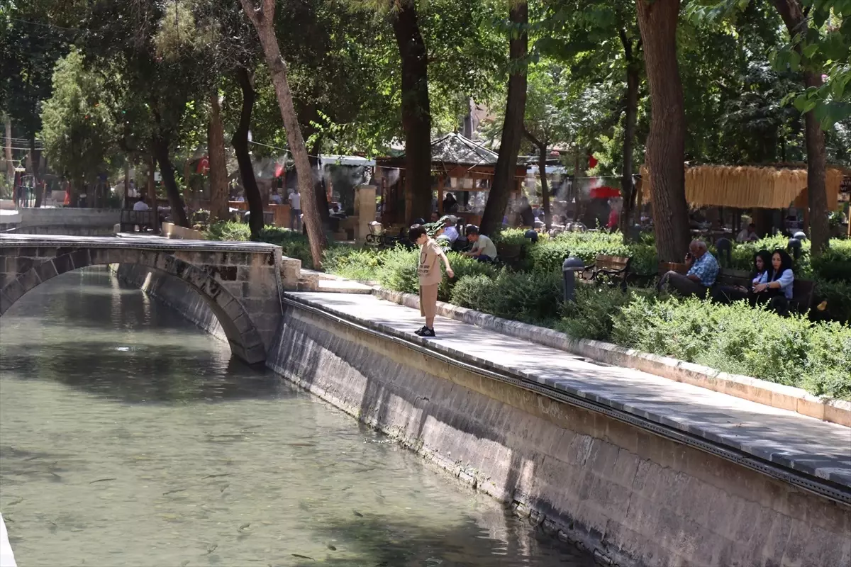 Güneydoğu'da Kavurucu Sıcaklar Etkili