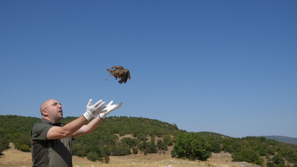 Kenelere Karşı Mücadelede 1 Milyona Yakın Keklik Doğaya Salındı
