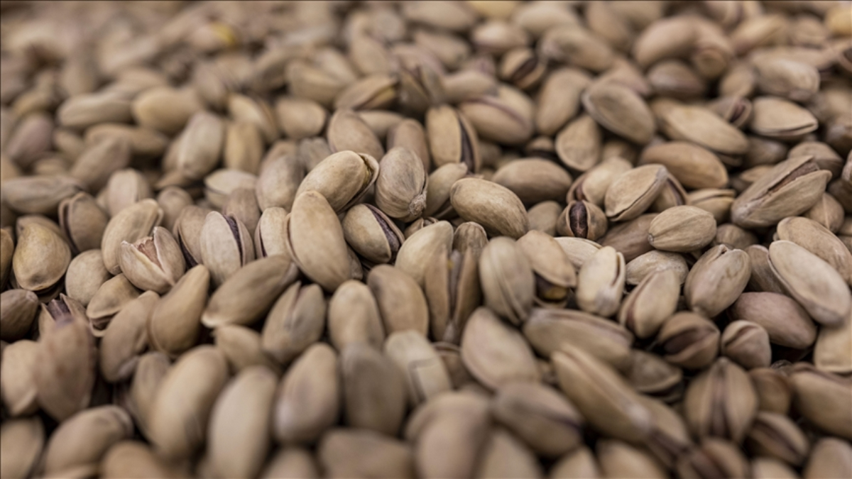 Tarım, Ticaret ve Hazine Bakanlıklarından Fıstık Sektörüne Kapsamlı Denetim