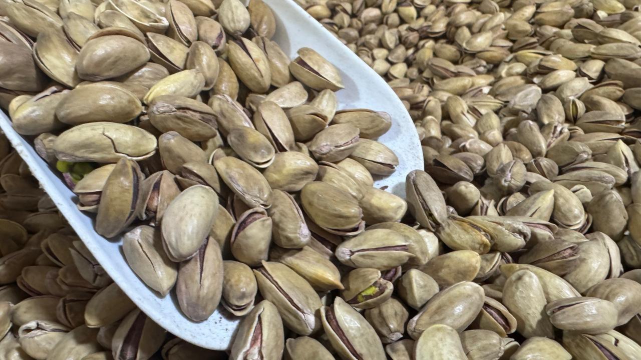 Ticaret Bakanlığı Fıstık Sektöründe Kapsamlı Denetim Faaliyetleri Başlattı