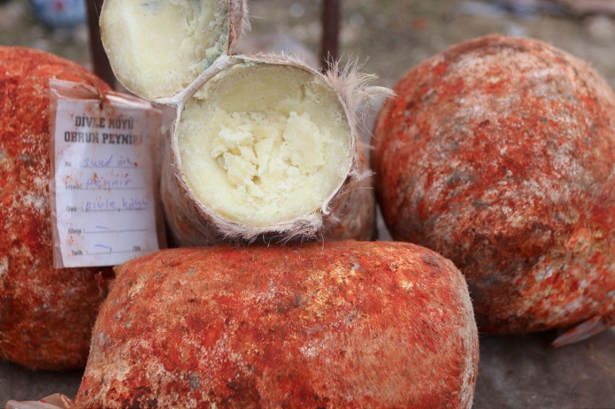 Türkiye'nin En Gözde 9 Peynir Çeşidi