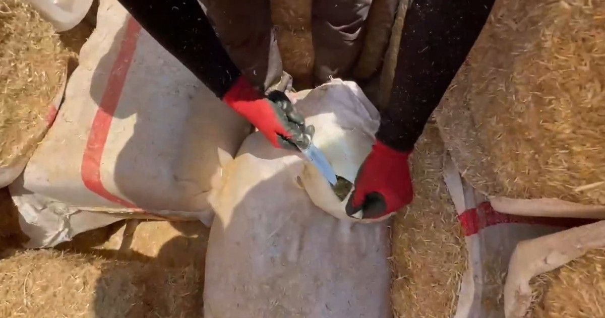 Uyuşturucu Operasyonunda 73 İl'de 1.695 Şüpheli Yakalandı