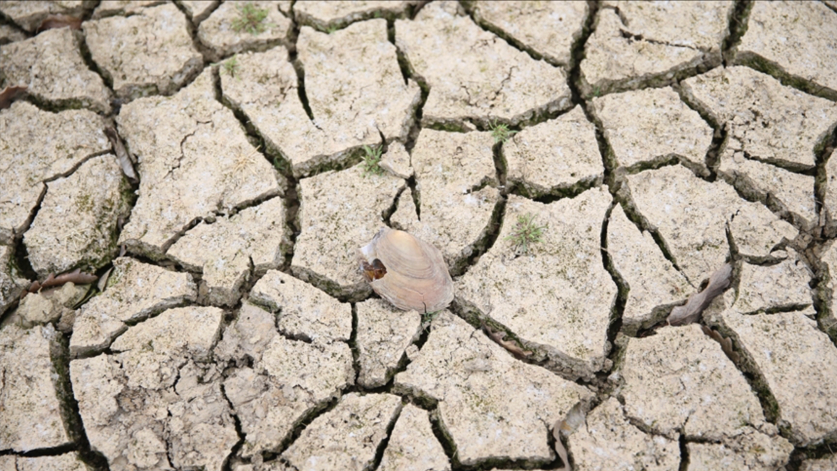 2025 Su Yılı Yağışları Türkiye Genelinde Düşüş Gösterdi: İç Anadolu ve Güneydoğu Bölgelerinde Kritik Seviyeler