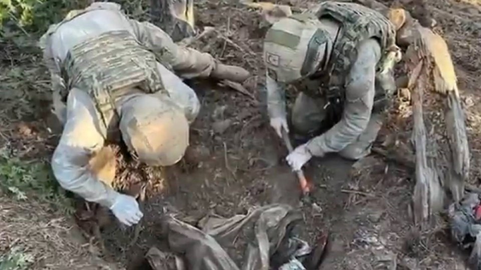 30 İlde Arazi Taraması: 18 Terör Örgütü Üyesi Teslim Oldu