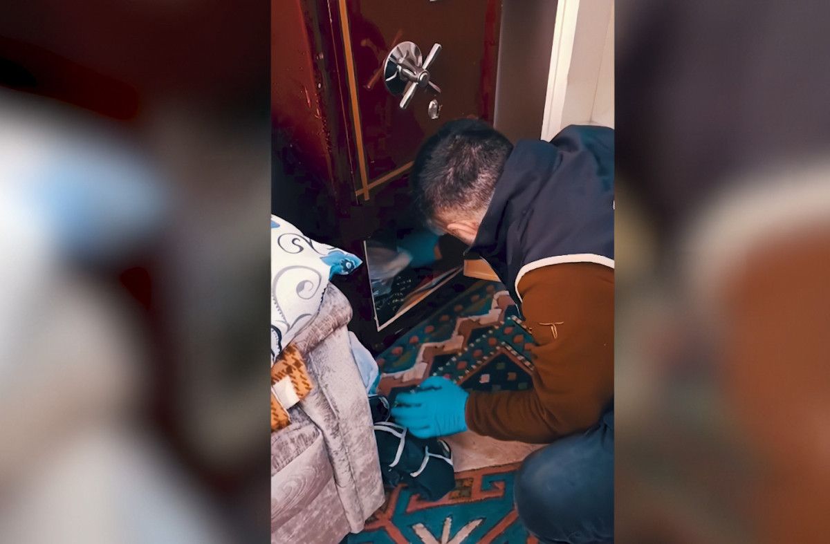 49 ilde dolandırıcılara operasyon: 115 şüpheli yakalandı