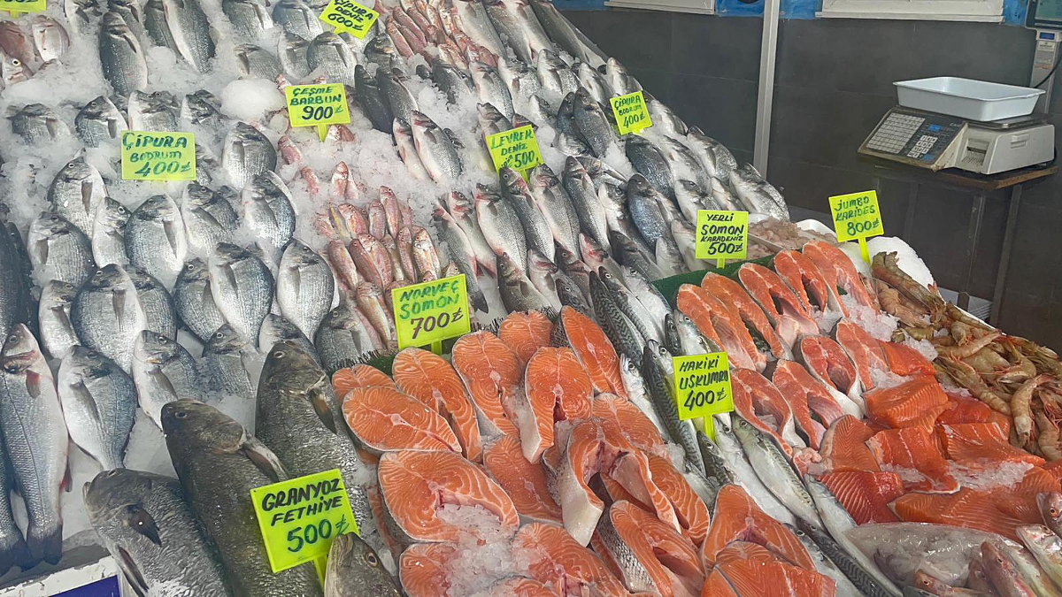 Ege Denizi'nde Balık Avcılığı Sezonu Başladı: Hamsi ve Sardalya Bereketi