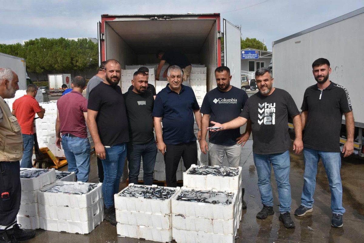 Ege Denizi'nde Balık Avcılığı Sezonu Başladı: Hamsi ve Sardalya Bereketi