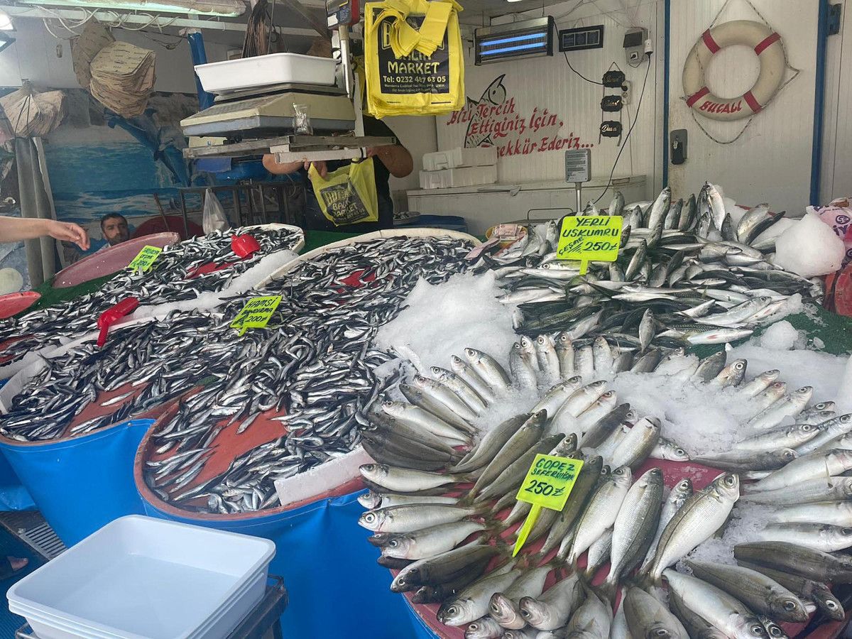 Ege Denizi'nde Balık Avcılığı Sezonu Başladı: Hamsi ve Sardalya Bereketi