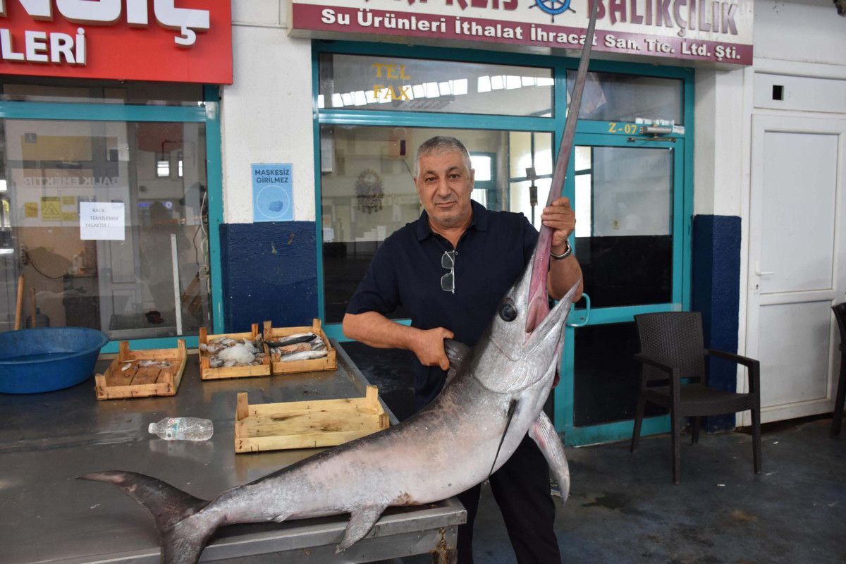 Ege Denizi'nde Balık Avcılığı Sezonu Başladı: Hamsi ve Sardalya Bereketi