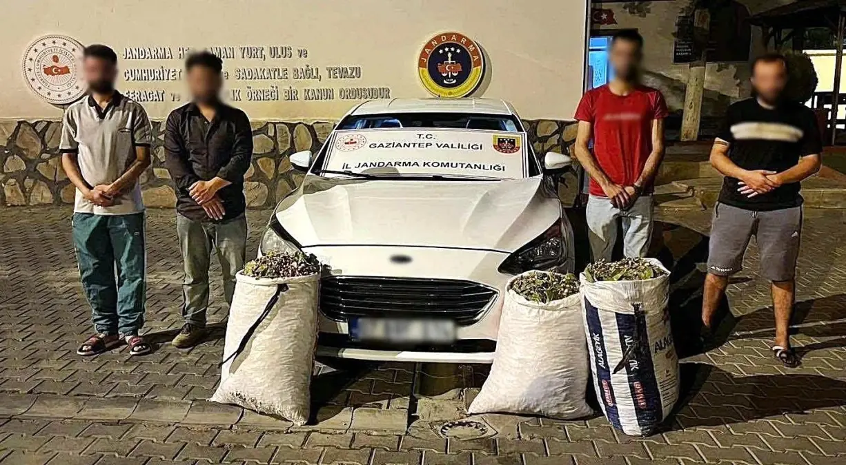 Gaziantep Jandarmasından Ağustos Ayında 24 Hırsızlık Şüphelisi Yakalama Operasyonu