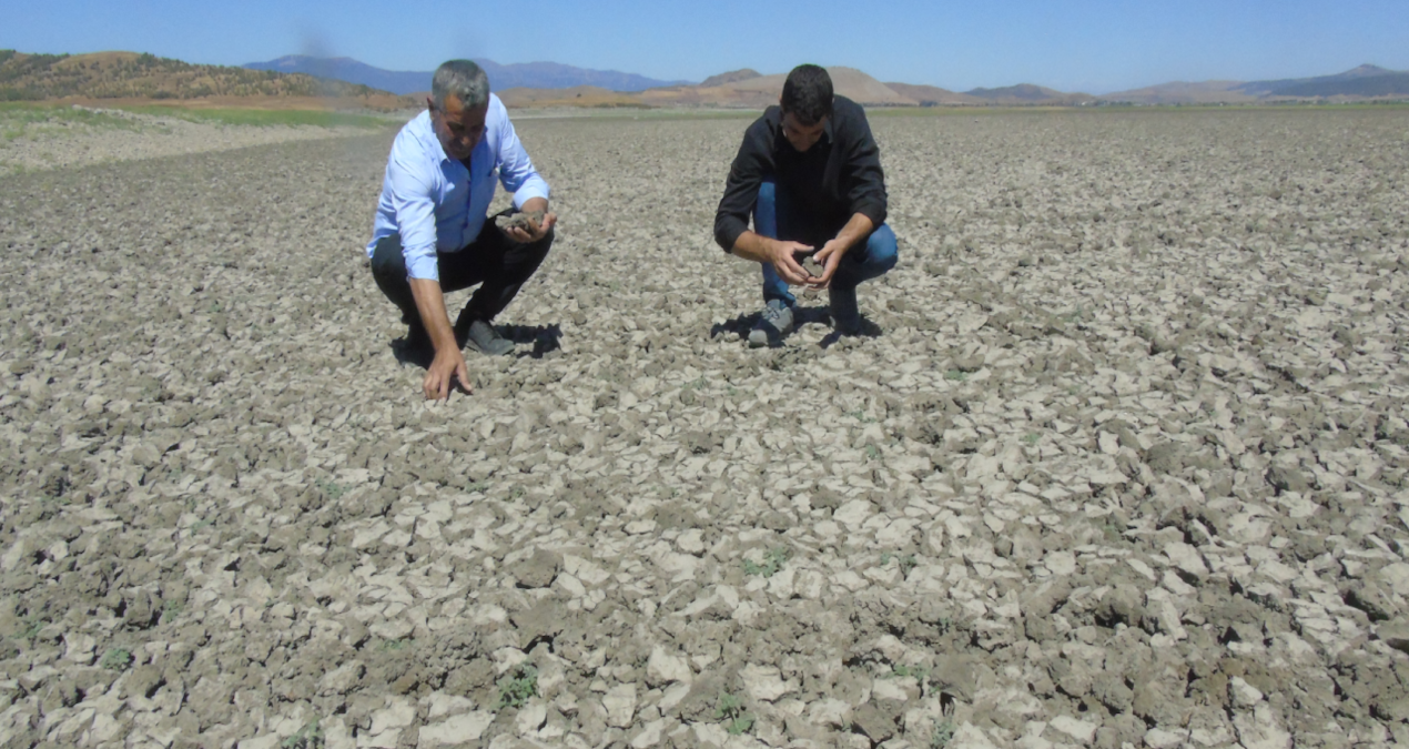 Gaziantep Tahtaköprü Barajı'nda Su Seviyesi Kritik Düzeye Düştü: Tarım ve Ekoloji Üzerindeki Etkileri