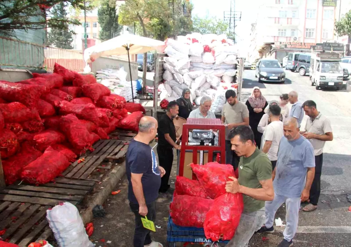 Gaziantep'te Geleneksel Biber Salçası Sezonu Yoğun Randevulu Çekimle Başladı