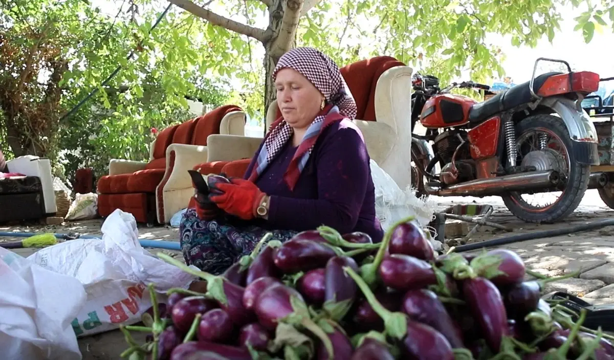 Gaziantep'te Kış Hazırlıklarında Geleneksel Kurutmalık Mesaisi