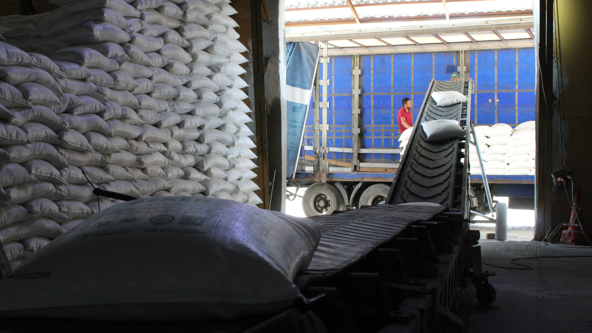 Malatya'da bu yıl 500 bin ton pancar işlenerek 62 bin ton şeker elde edilecek