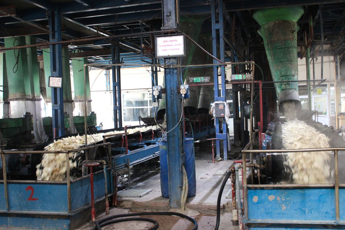 Malatya'da bu yıl 500 bin ton pancar işlenerek 62 bin ton şeker elde edilecek