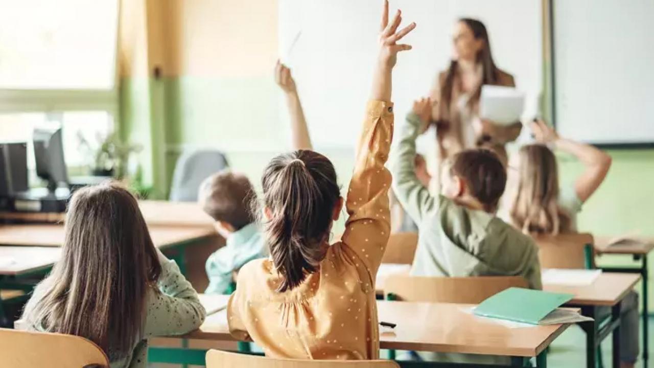 Özel Okullarda Rüşvet Skandalı: Sahte Karot Raporları ve Eğitimde Dolandırıcılık