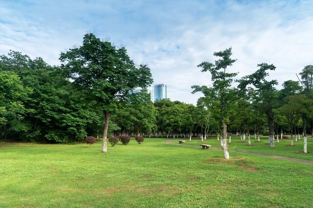 TOKİ'den 30 İlde 312 Arsa Satışı: 36 ve 48 Ay Vade Avantajıyla