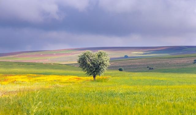 TOKİ'den 30 İlde 312 Arsa Satışı: 36 ve 48 Ay Vade Avantajıyla
