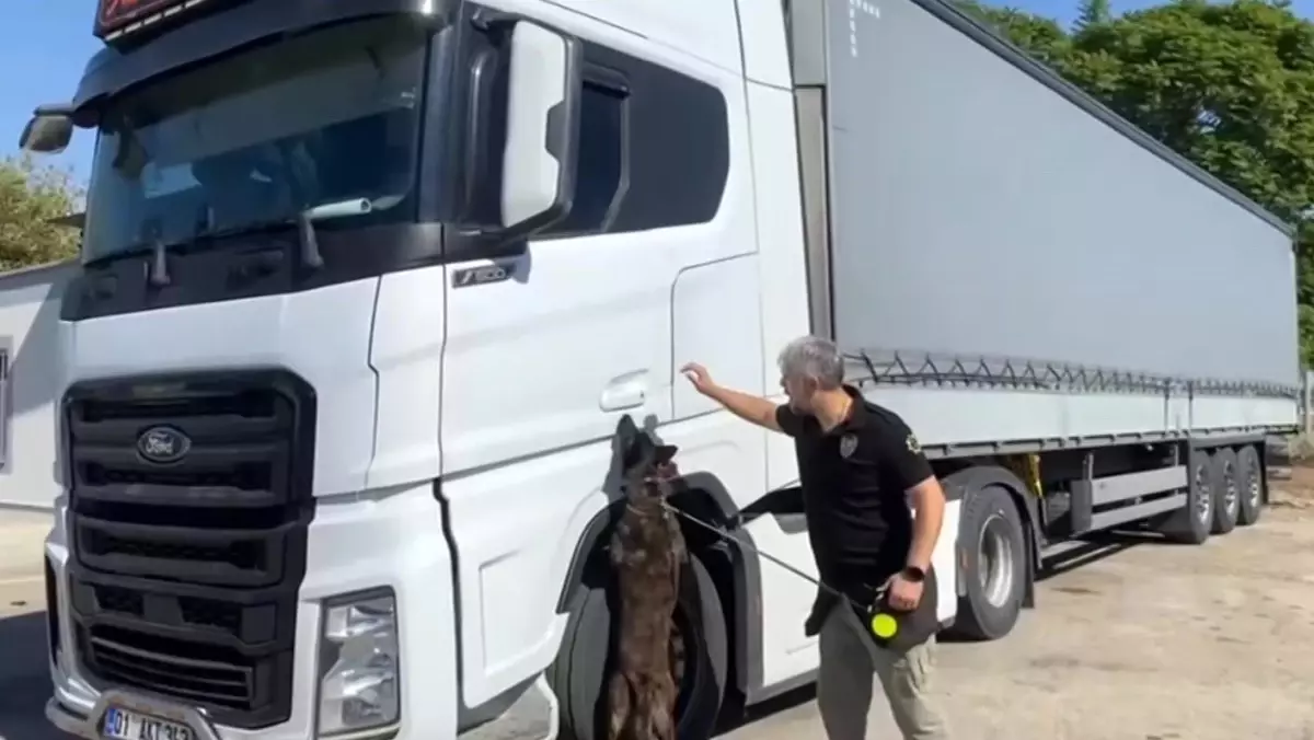 Adana'da 55 Kilogram Skunk Ele Geçirildi