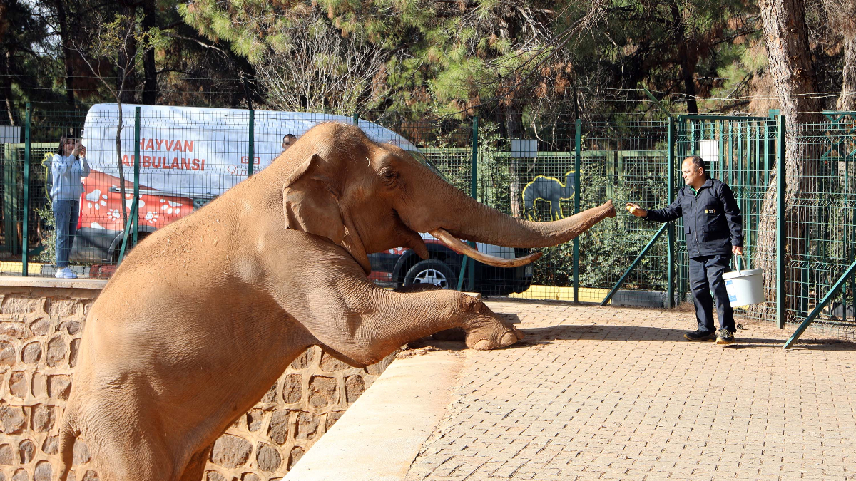 Türkiye'nin en büyük hayvanat bahçesi kışa hazır