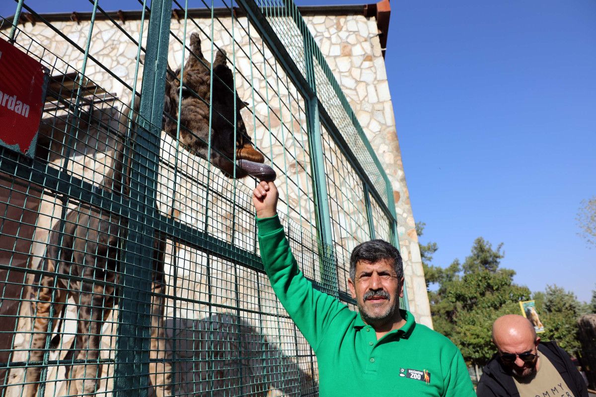 Türkiye'nin en büyük hayvanat bahçesi kışa hazır