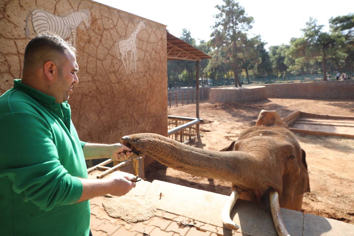 Türkiye'nin en büyük hayvanat bahçesi kışa hazır