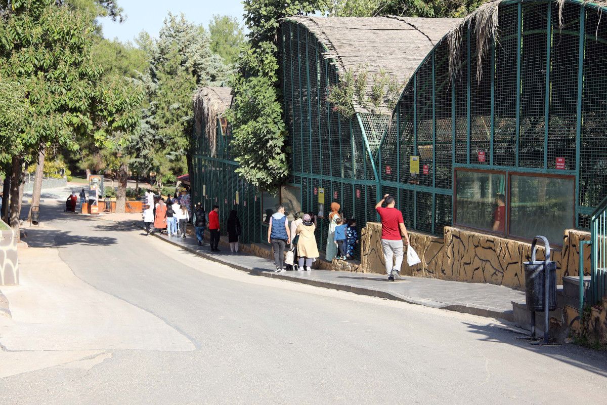 Gaziantep Hayvanat Bahçesi Kışa Hazırlık Çalışmaları ve Ziyaretçi Bilgileri