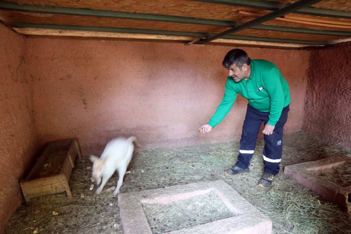 Gaziantep Hayvanat Bahçesi Kışa Hazırlık Çalışmaları ve Ziyaretçi Bilgileri