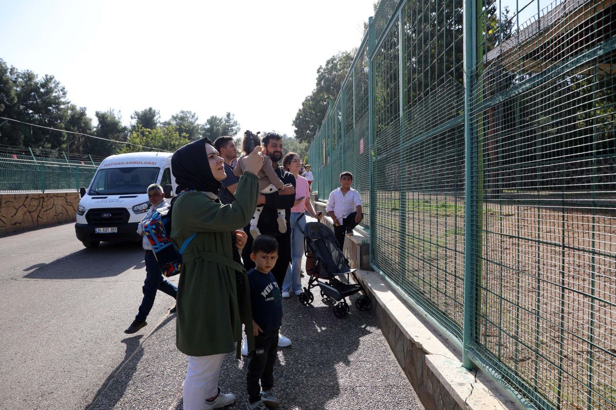 Gaziantep Hayvanat Bahçesi Kışa Hazırlık Çalışmaları ve Ziyaretçi Bilgileri