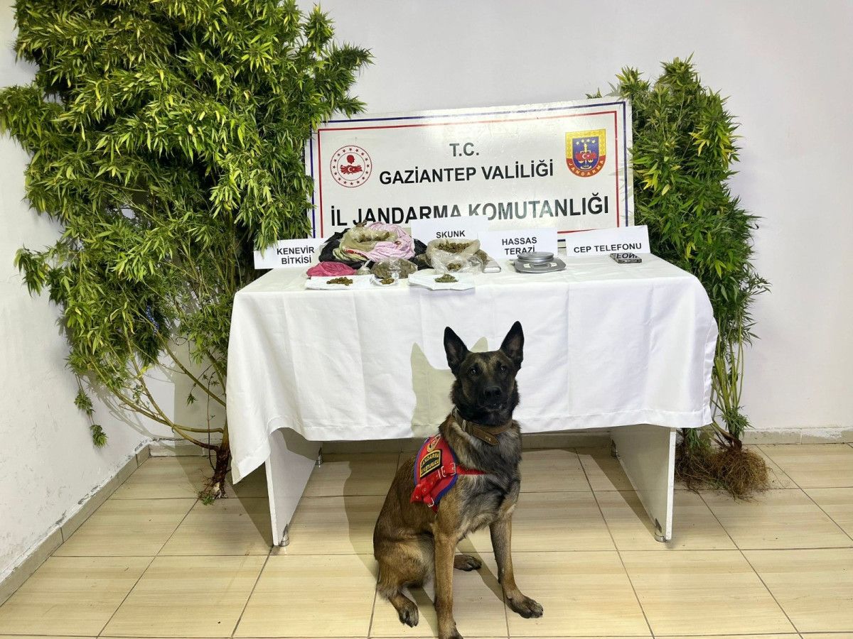 Gaziantep'te Uyuşturucu Operasyonu: 2 Şüpheli Tutuklandı