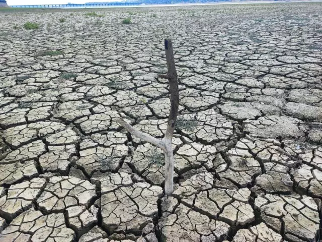 Görüntü Türkiye'nin tarım merkezinden! Çekilen fotoğraflar kıtlığın habercisi