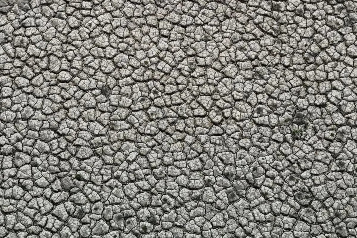 Görüntü Türkiye'nin tarım merkezinden! Çekilen fotoğraflar kıtlığın habercisi