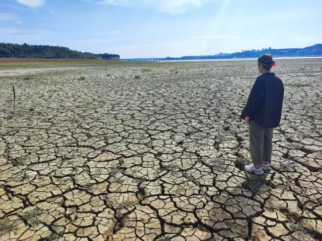 Görüntü Türkiye'nin tarım merkezinden! Çekilen fotoğraflar kıtlığın habercisi