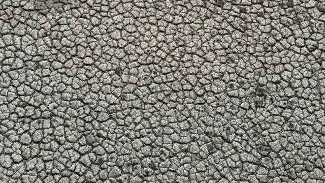 Görüntü Türkiye'nin tarım merkezinden! Çekilen fotoğraflar kıtlığın habercisi