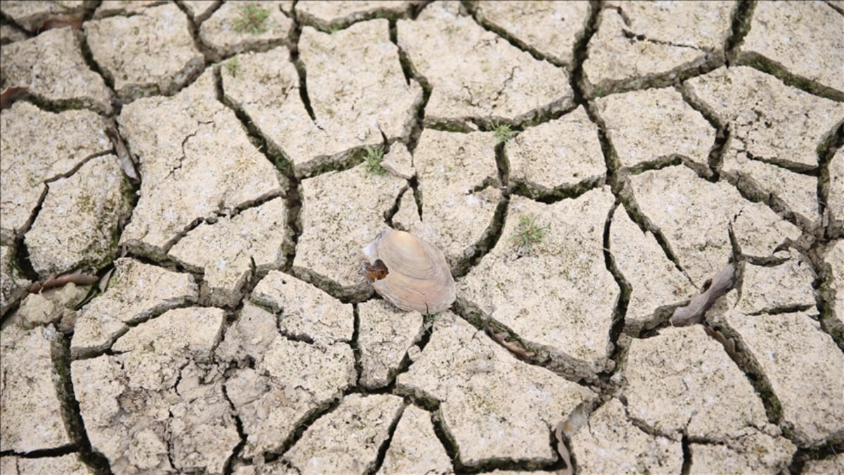 Türkiye'de 2025 Yılı Kuraklığı: Son 10 Yılın En Şiddetli Su Kıtlığı