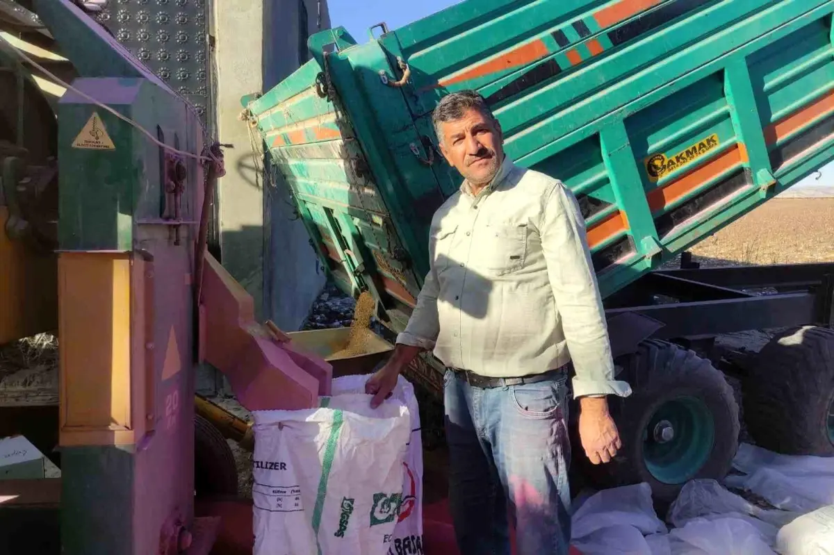 2026 Yılı Araban İlçesi Buğday Tohumu Hazırlık Çalışmaları Tamamlandı