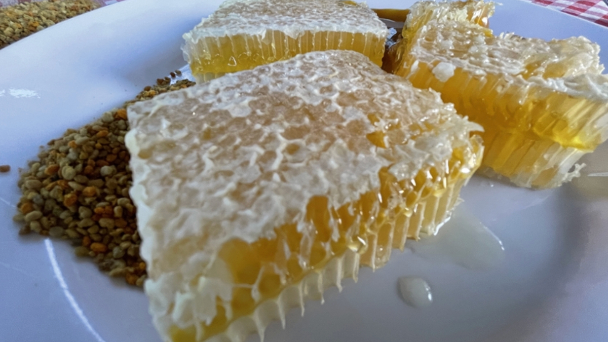 Karabük'ün Yenice Ihlamur Balı'na AB'den coğrafi işaret tescili