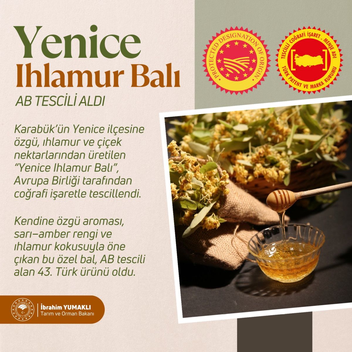 Karabük'ün Yenice Ihlamur Balı'na AB'den coğrafi işaret tescili