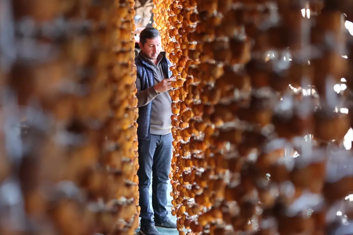 Bahçeli'de Cennet Hurması İle Yenilik