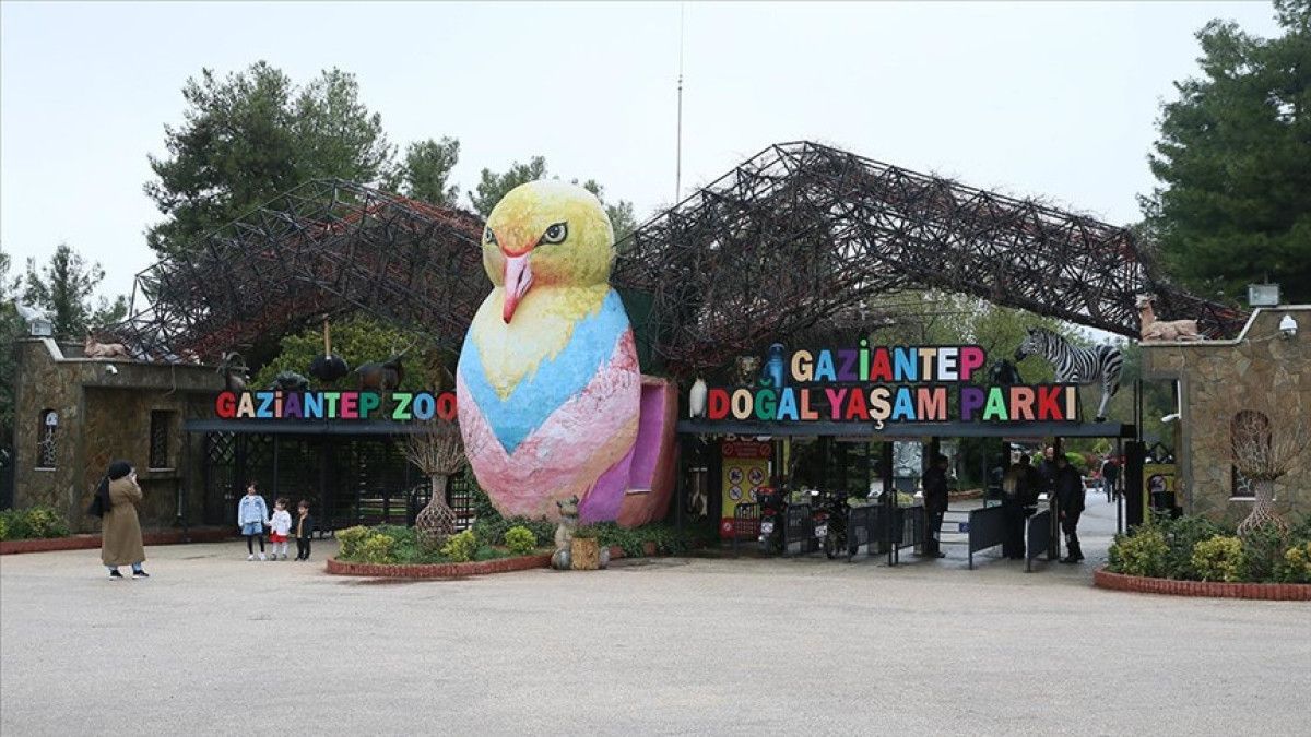 Gaziantep Doğal Yaşam Parkı'nda Fatma Şahin'in Hayvan Besleme Anı ve Ziyaretçi Rekoru
