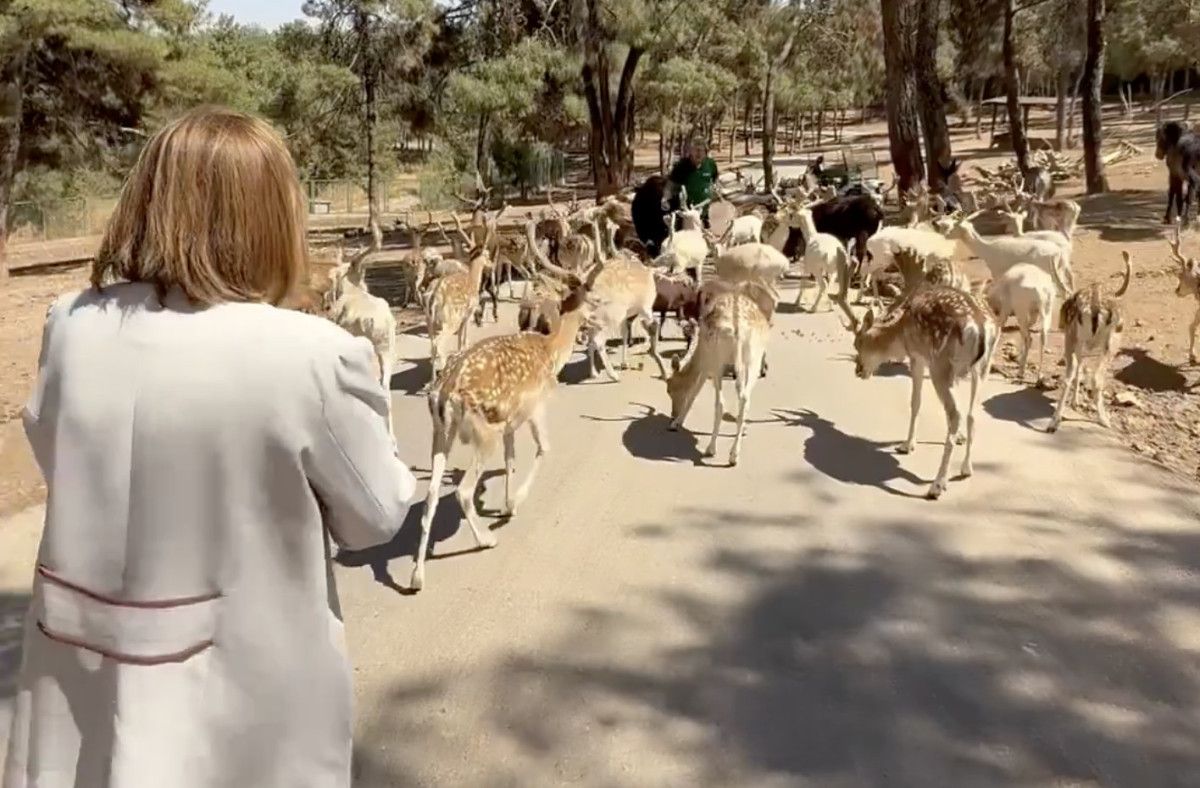 Gaziantep Doğal Yaşam Parkı'nda Fatma Şahin'in Hayvan Besleme Anı ve Ziyaretçi Rekoru