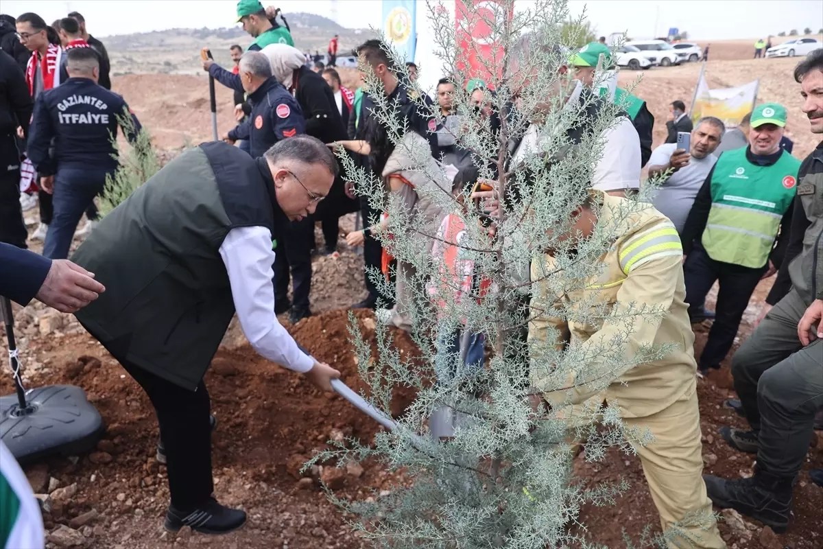 Gaziantep ve Bölgesinde Milli Ağaçlandırma Günü Etkinlikleri ve Fidan Dikimi