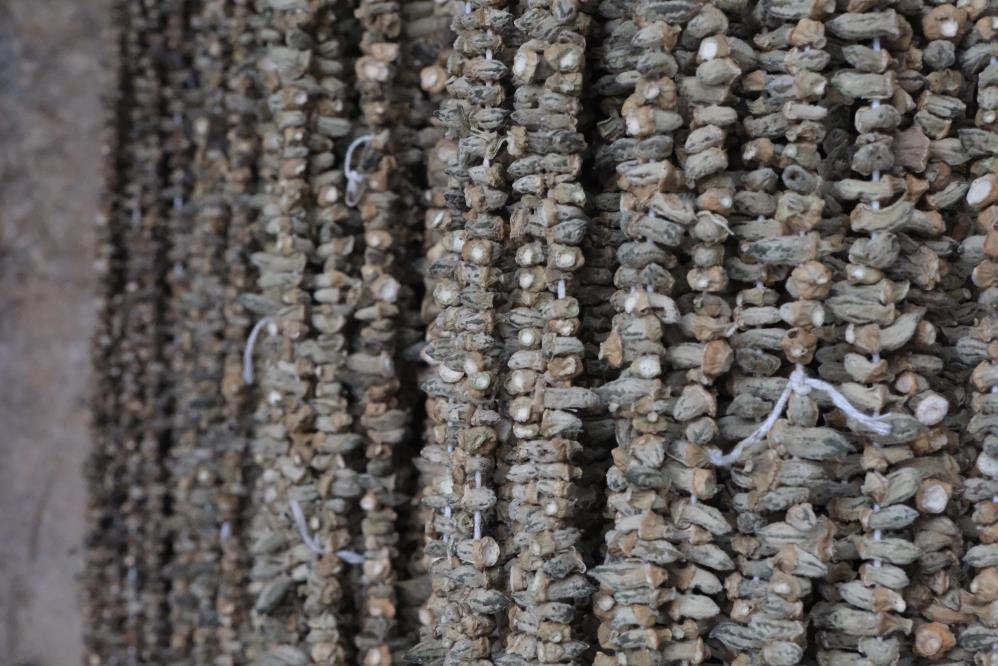 Gaziantep'in Kış Lezzeti: Kuru Bamya Tezgahlarda 2 Bin TL’den Satılıyor